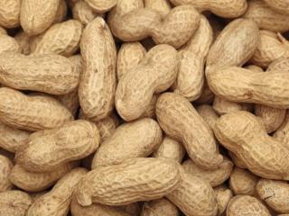 Dry Peanut
