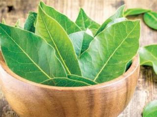 Bay Leaves