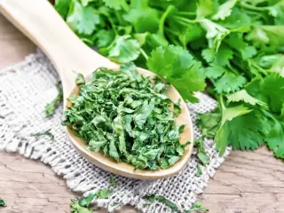 Coriander Leaves