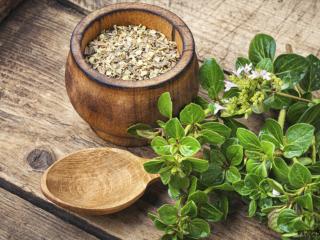 Oregano