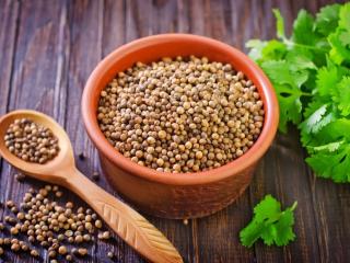 Coriander