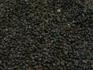 Molokhia Seeds